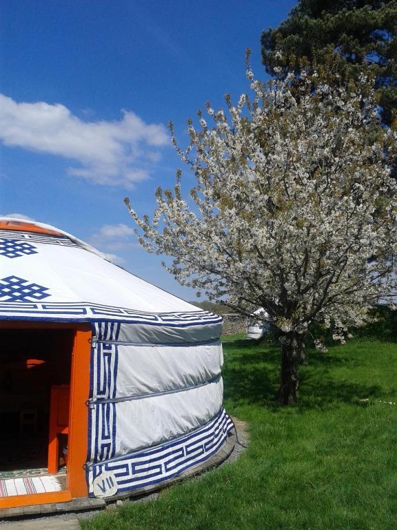 Les Ecrennes Yourte Nomade-Lodge חדר תמונה